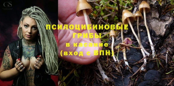 молекула духа Алексин