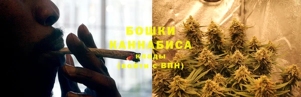 тгк Лагань