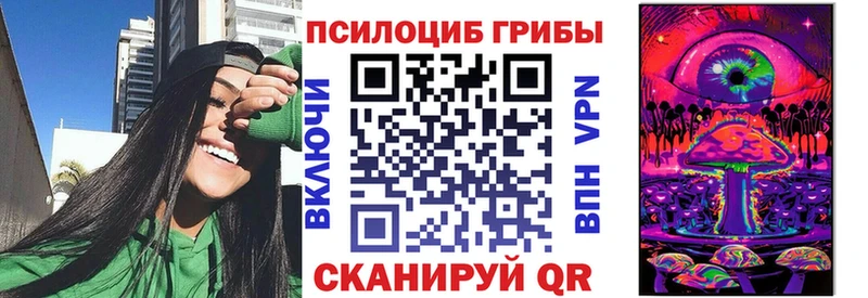 даркнет официальный сайт хочу Цоци-Юрт Галлюциногенные грибы MAGIC MUSHROOMS ссылка на мегу ONION