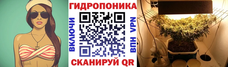мориарти формула  продажа наркотиков  Цоци-Юрт  МАРИХУАНА Ganja 